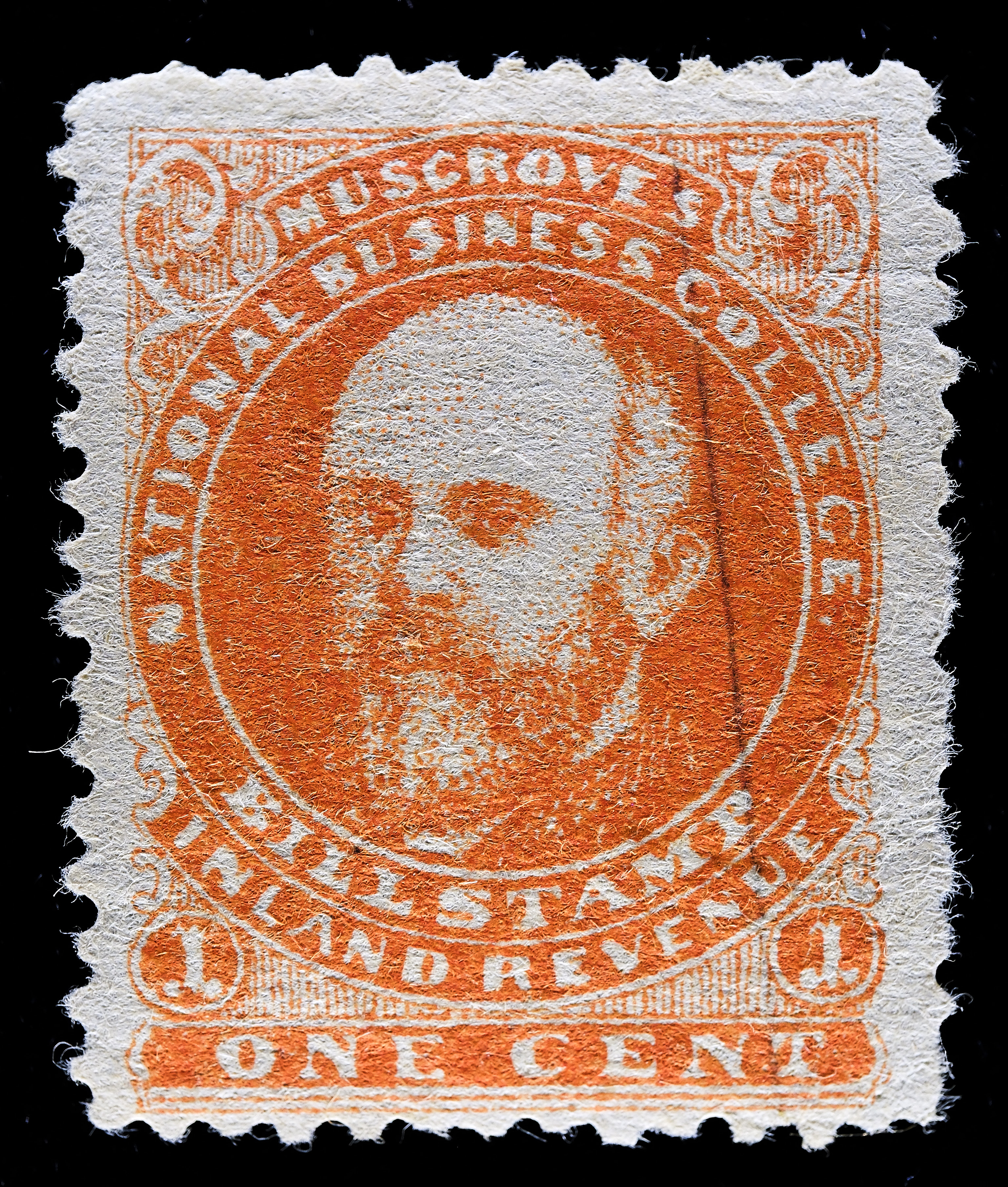 Lot 469 - Misc, Collections, Groups, Bogus and Fantasy  -  Carriers & Locals Society 36th Annual Auction