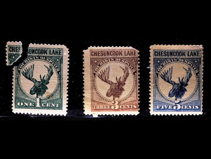 Chesuncook Lake Tourist Despatch 5c Set of Three
