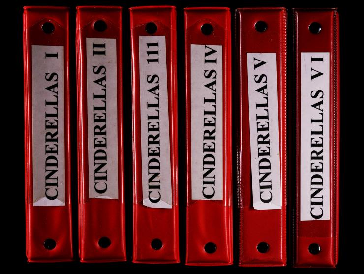 Worldwide Cinderallas in six Binders, 378 Stamps